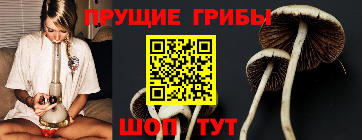 Галлюциногенные грибы Magic Shrooms Волгоград
