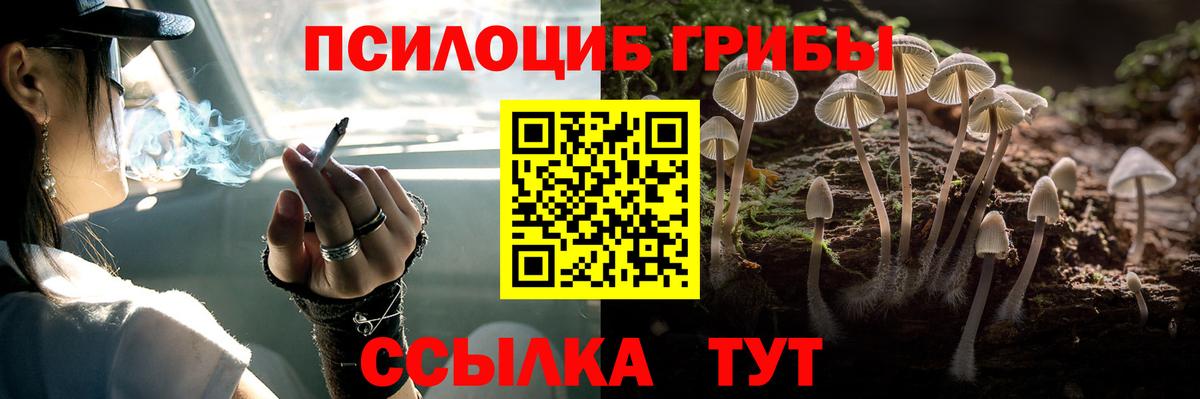 Галлюциногенные грибы прущие грибы  Вход с VPN  Волгоград 